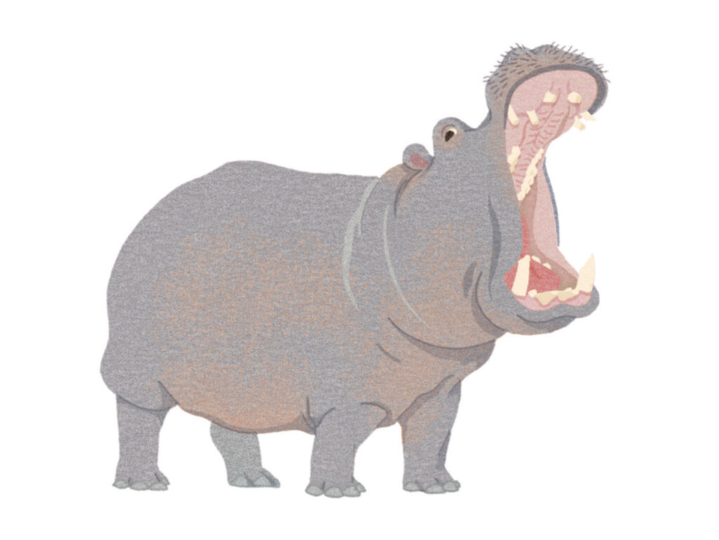 Montessori animaux hippopotame