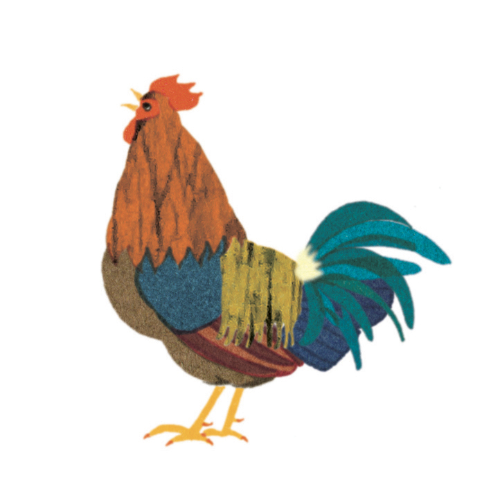 Montessori coq