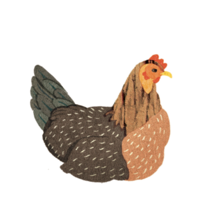 Montessori poule
