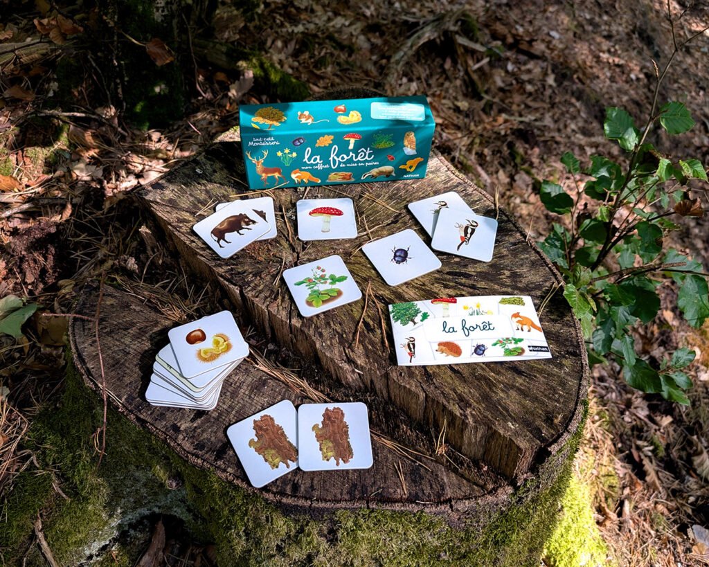 coffret, tout petit MONTESSORI, forêt, Nathan